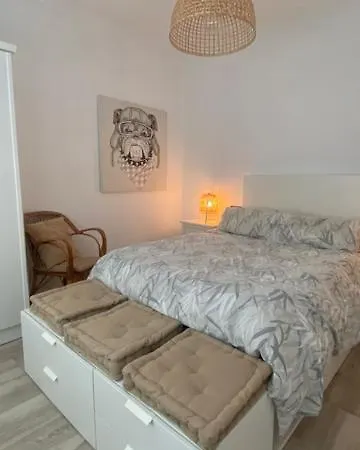 Apartament O Nido De David, Un Refuxio Urbano Na Ribeira Sacra