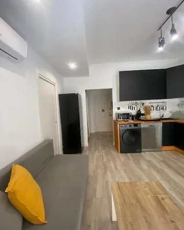 Apartment O Nido De David, Un Refuxio Urbano Na Ribeira Sacra *